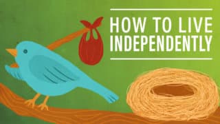 Moving Out of Your Mom's Basement: How to Live Independently