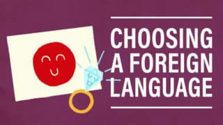 5 Questions: Social Media, Pets, and How to Choose a Foreign Language