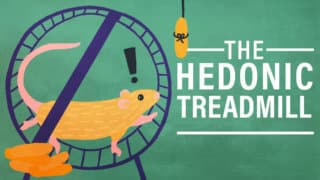 The Hedonic Treadmill