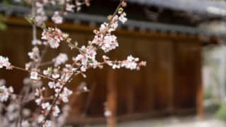 How to Learn Any Language from Scratch