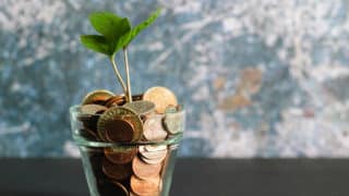 Small plant sprouting from glass of coins