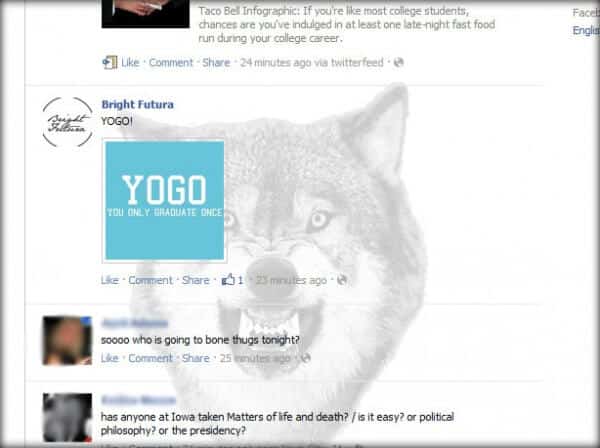 facebook wolf facebook wolf
