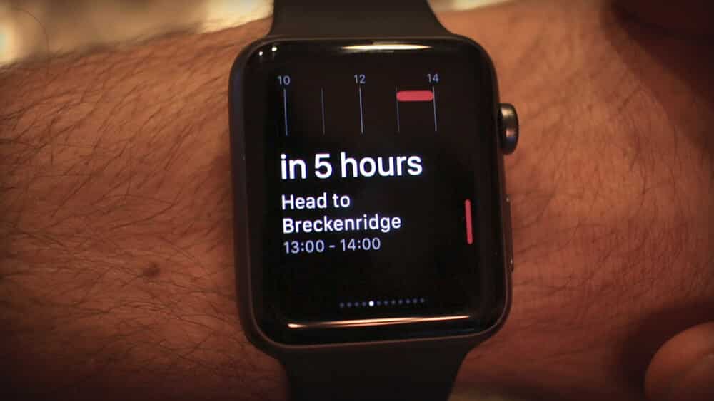 google calendar on apple watch