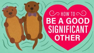 How to Be a Good Significant Other