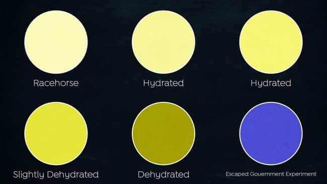 Urine Color Hydration Chart