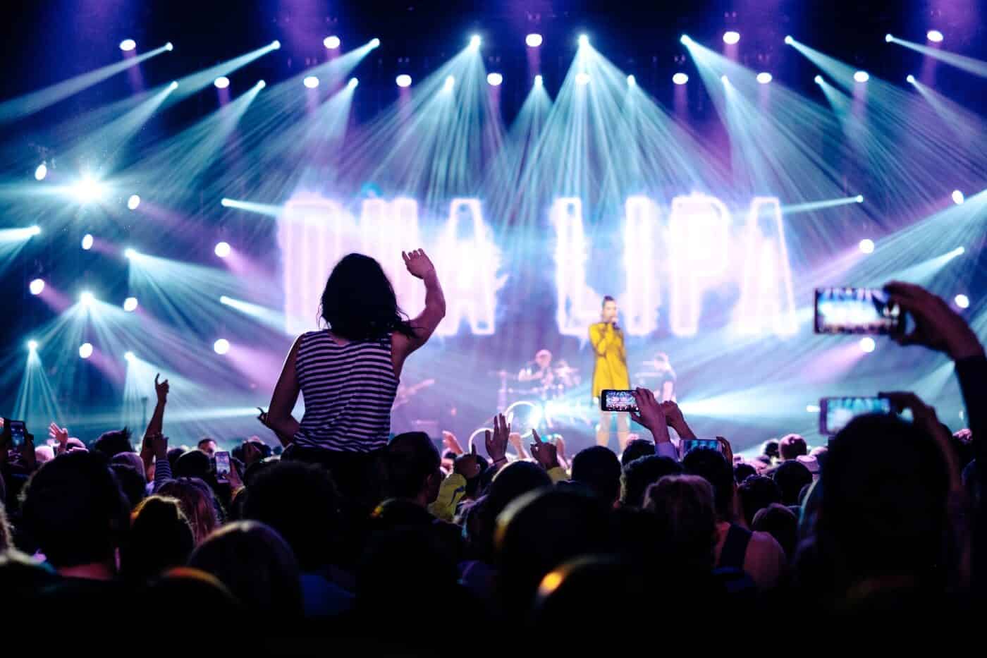 crowd at concert