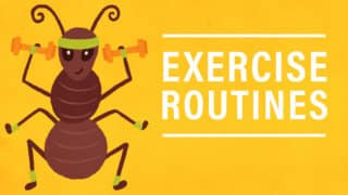 Our Exercise Habits and Fitness Goals