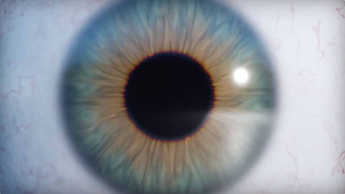 Wide Eye Closeup