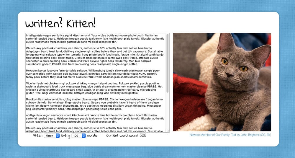 Written? Kitten! app interface