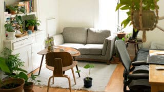 sunny living room with potted plants