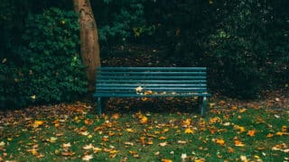 Green bench on grass surrounded by fall leaves